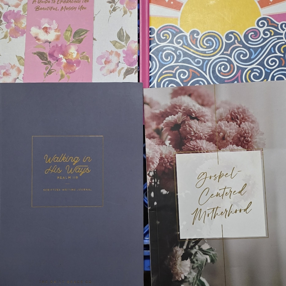 The Daily Grace Christian Religious Writing Journals Books Devotionals Qty 4